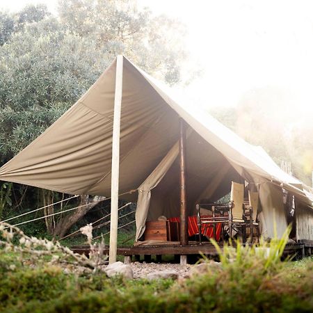 Quatermain'S 1920'S Safari Camp - Amakhala Game Reserve Ngoại thất bức ảnh