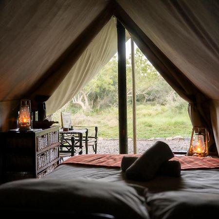 Quatermain'S 1920'S Safari Camp - Amakhala Game Reserve Ngoại thất bức ảnh