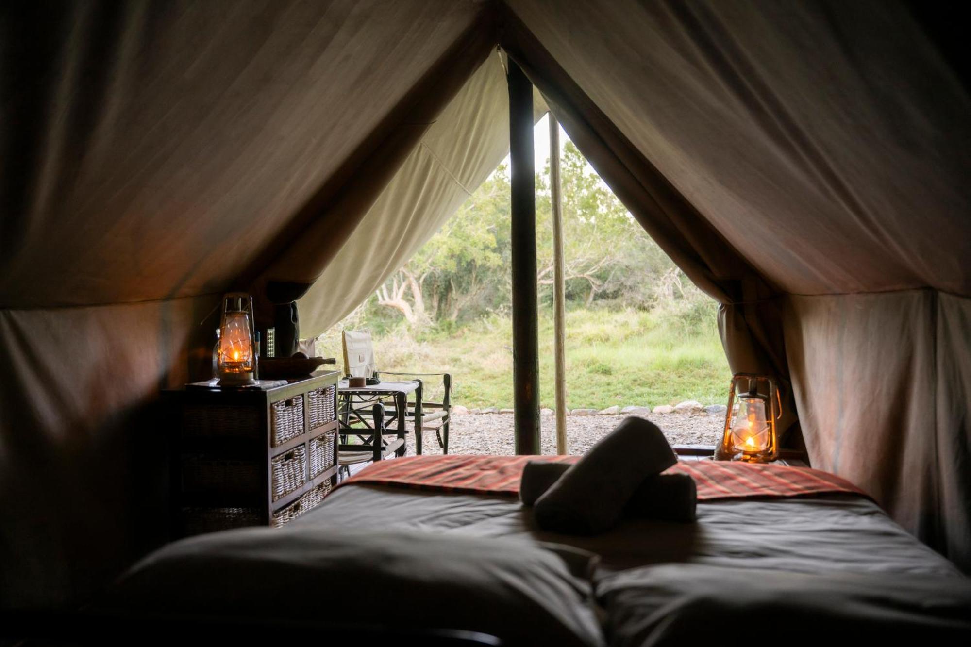 Quatermain'S 1920'S Safari Camp - Amakhala Game Reserve Ngoại thất bức ảnh