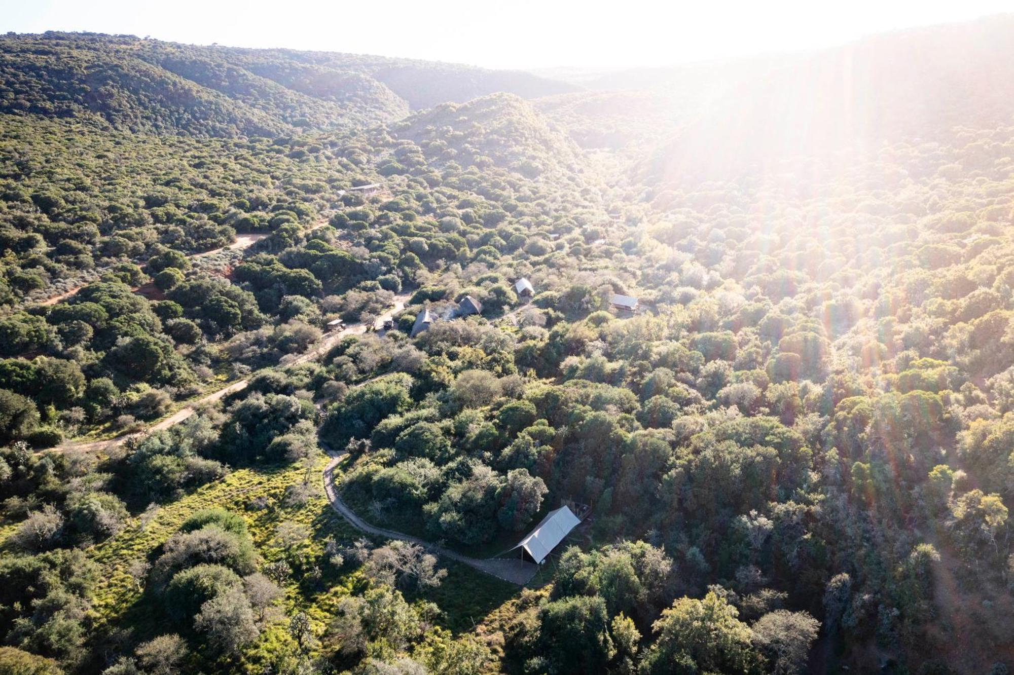 Quatermain'S 1920'S Safari Camp - Amakhala Game Reserve Ngoại thất bức ảnh