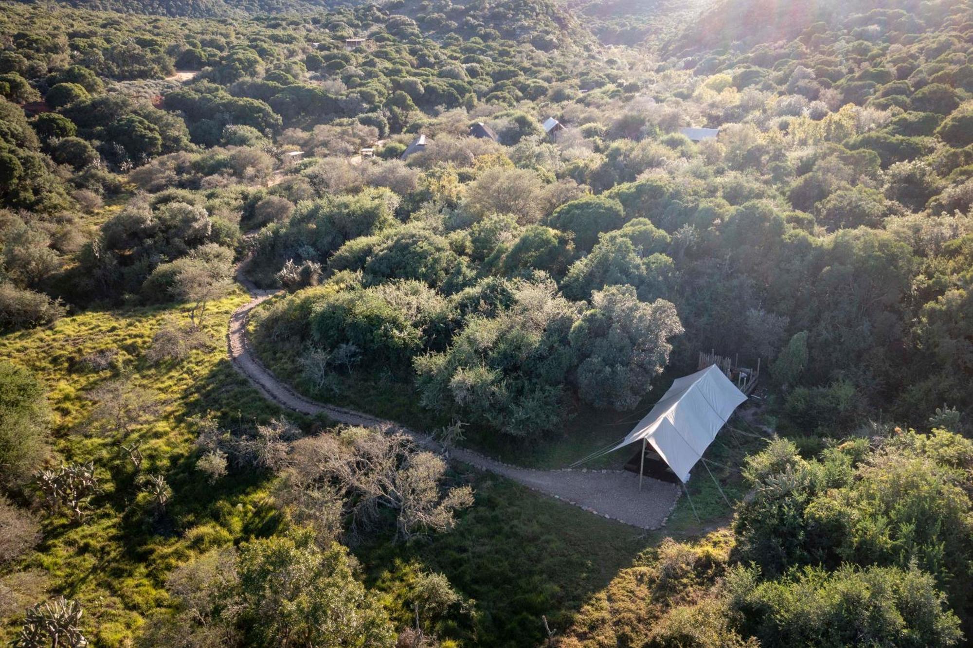 Quatermain'S 1920'S Safari Camp - Amakhala Game Reserve Ngoại thất bức ảnh
