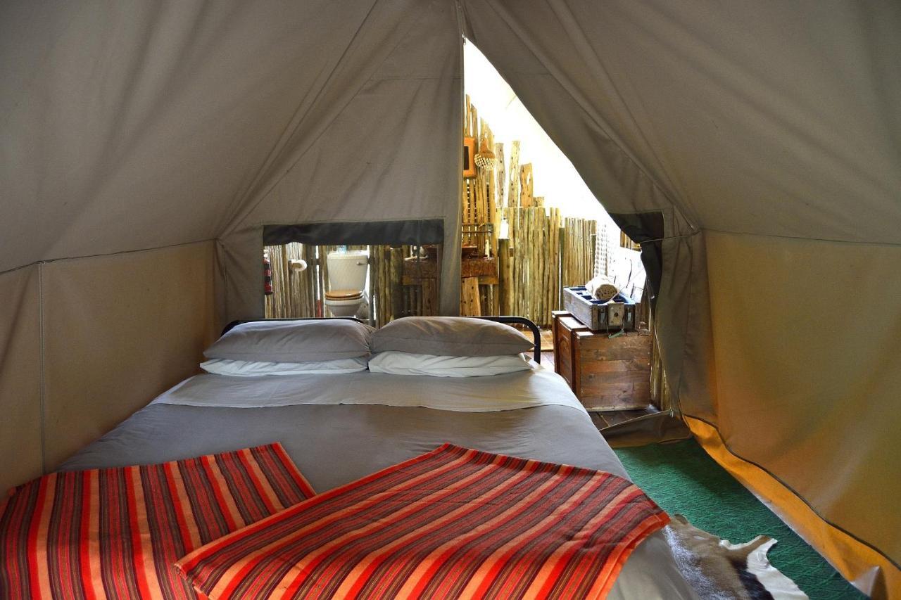 Quatermain'S 1920'S Safari Camp - Amakhala Game Reserve Ngoại thất bức ảnh